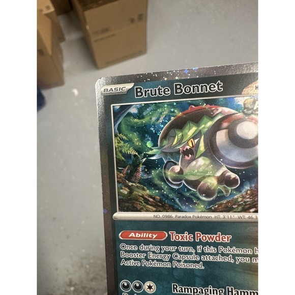brute bonnet pokemon card 207-182 IR AR Paradox Rift Extended Art Display Cases Paradox Rift Type Brute Bonnet (JP) Pokemon Set